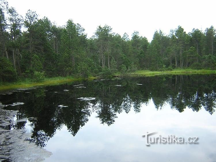 Suuri sammaleipä