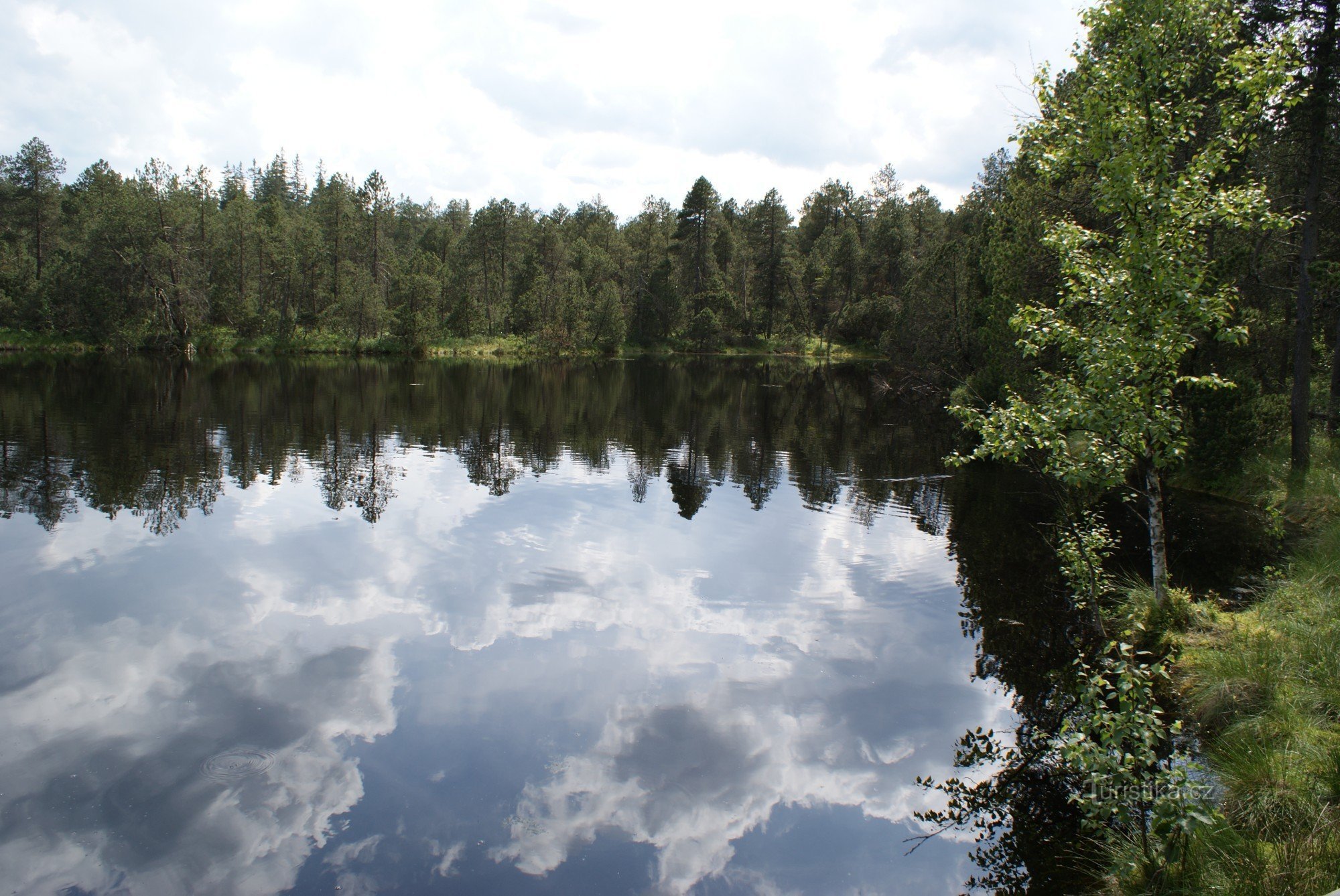 Grande lagoa musgosa