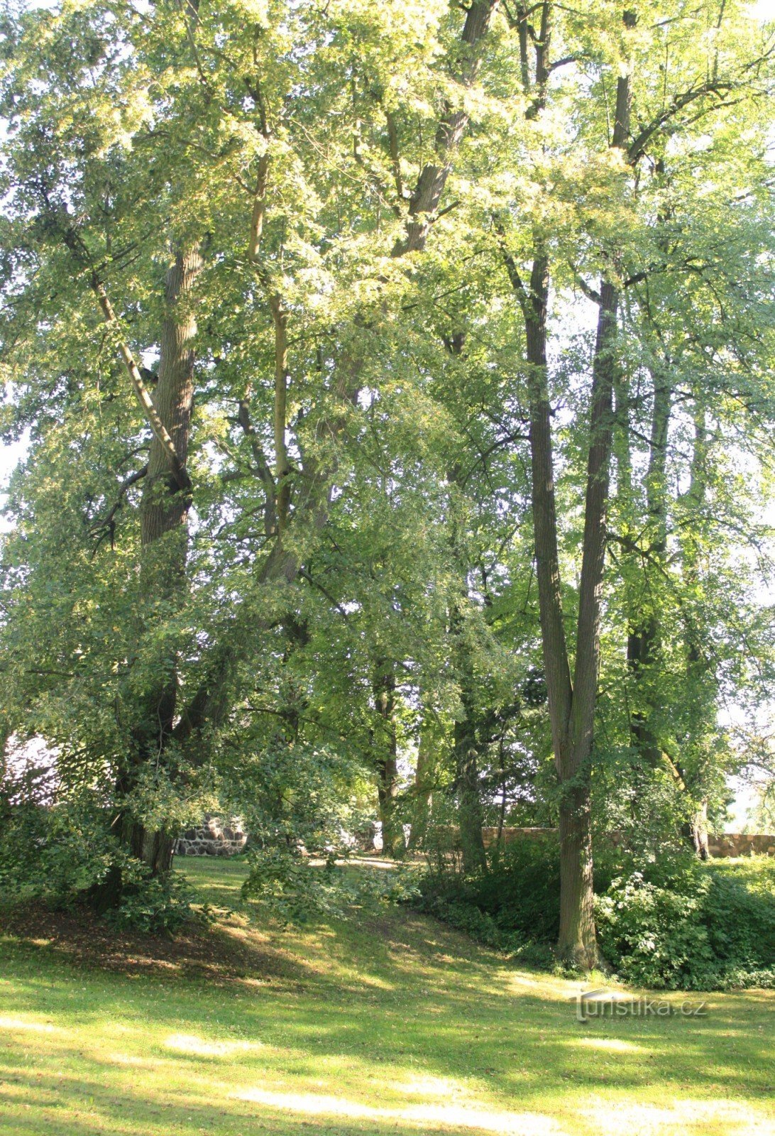 Velké Meziříčí - castle park