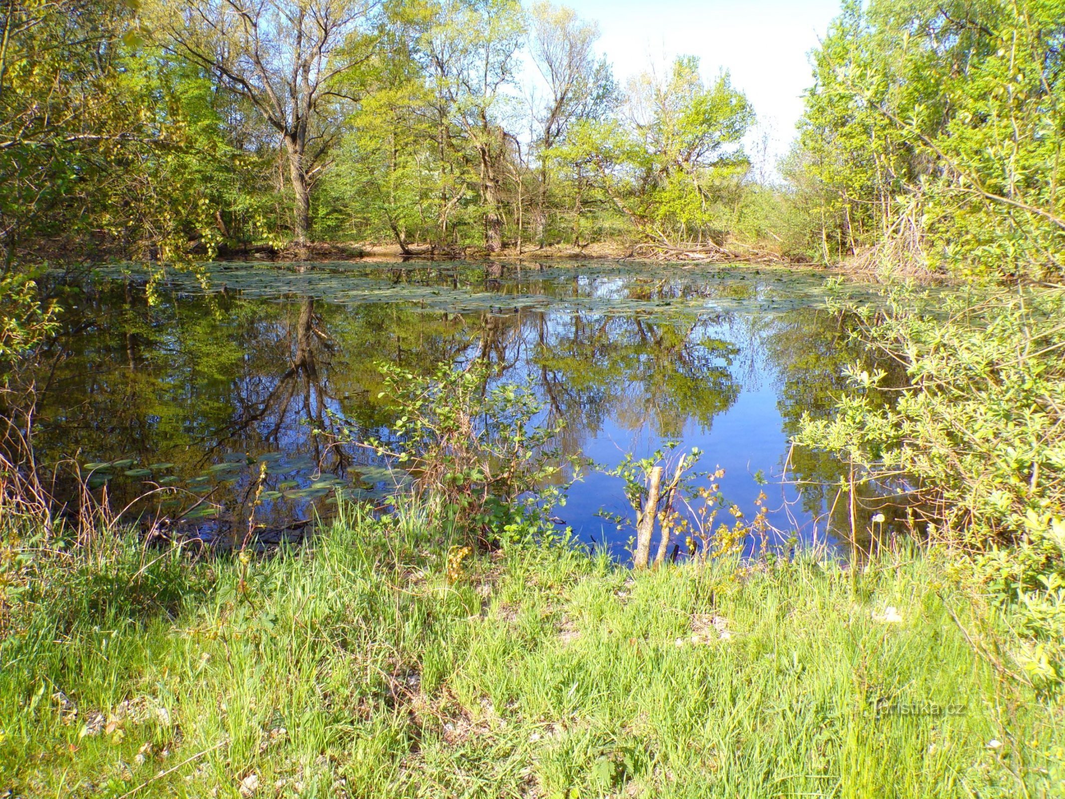 Velké Pekelské jezero (Hradec Králové, 10.5.2022)