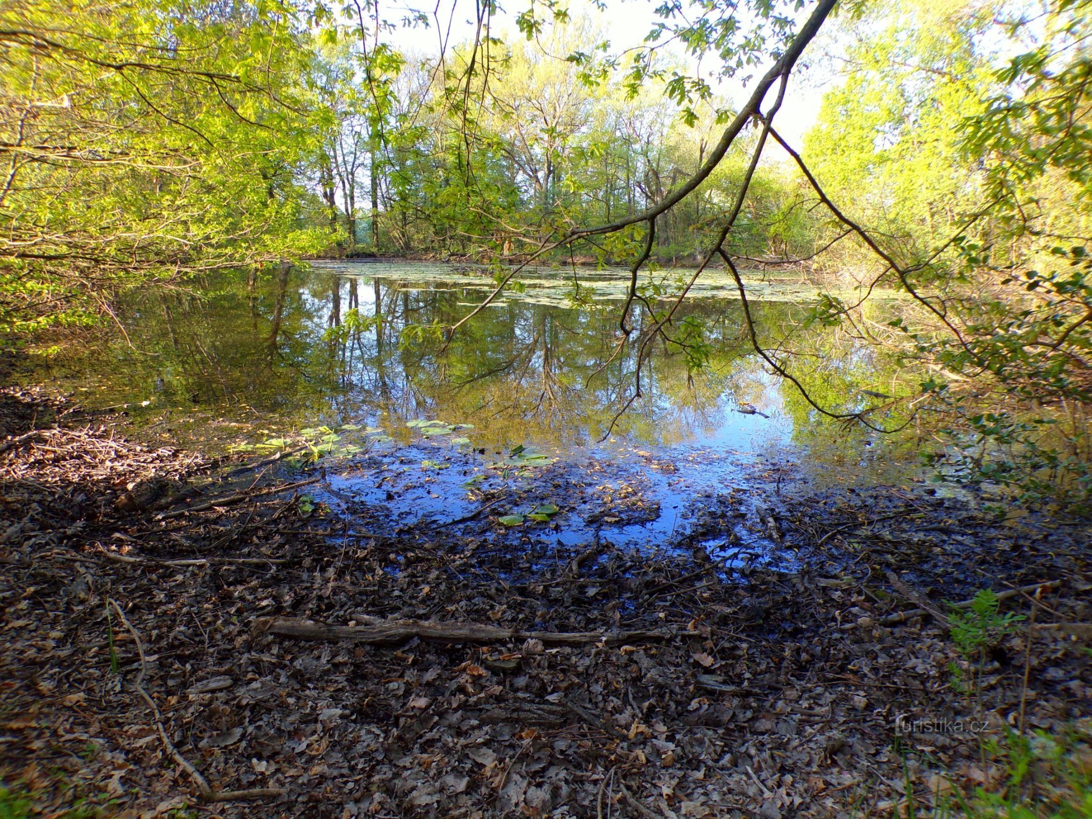 Great Hell Lake (Hradec Králové, 10.5.2022)