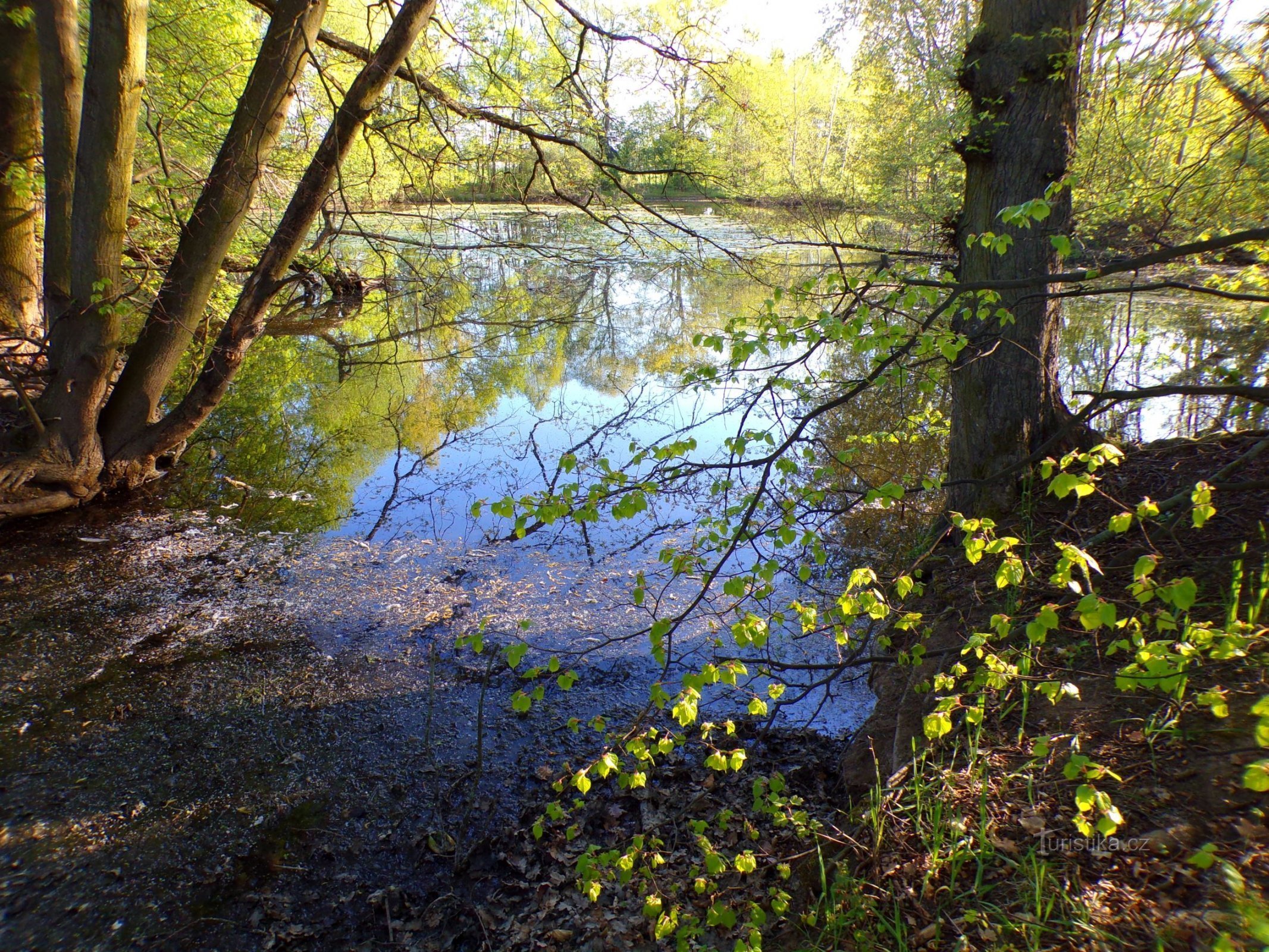 Veliko peklensko jezero (Hradec Králové, 10.5.2022. XNUMX. XNUMX)