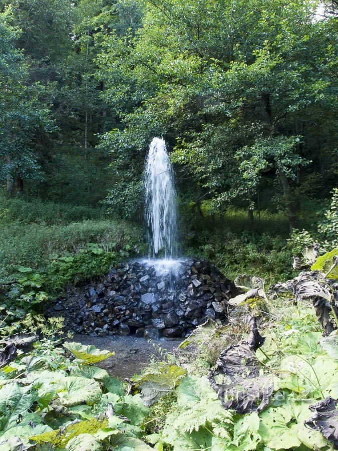 Velké Vrbno - Fountain