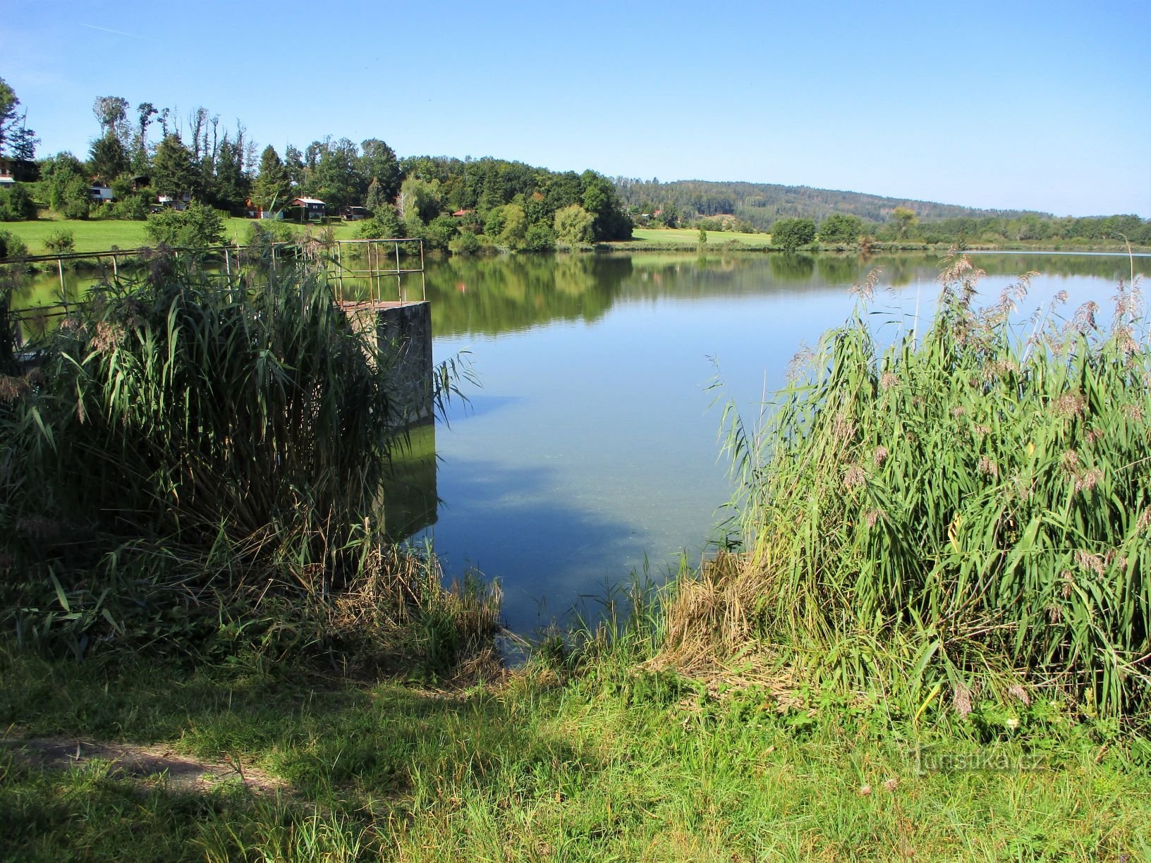 Velkovřešťovský rybník (Velký Vřešťov, 11.9.2020)
