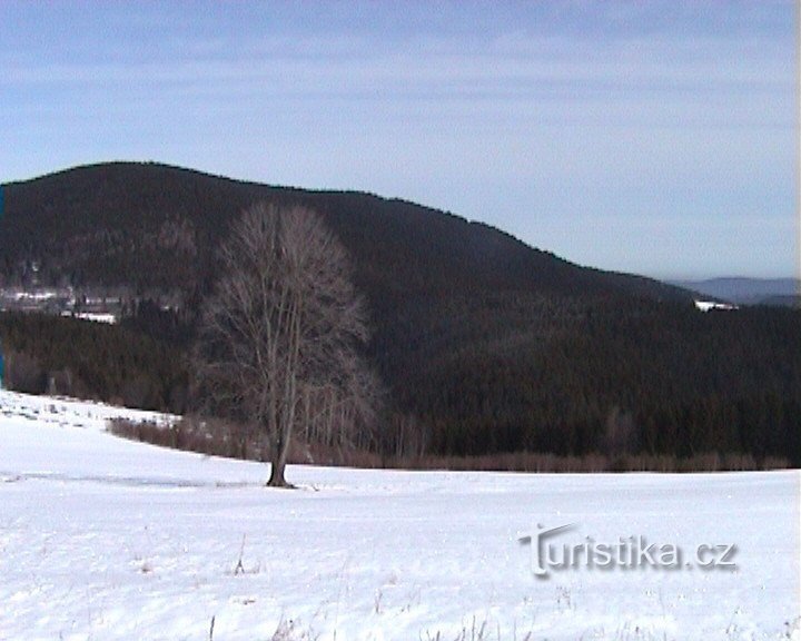 Velký Bor