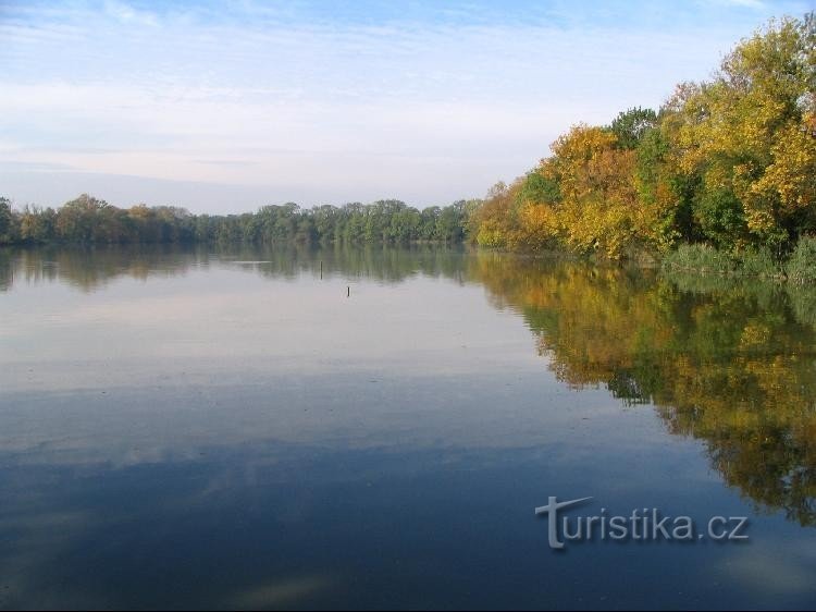 Big wake pond