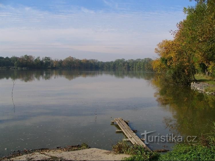 Big wake pond