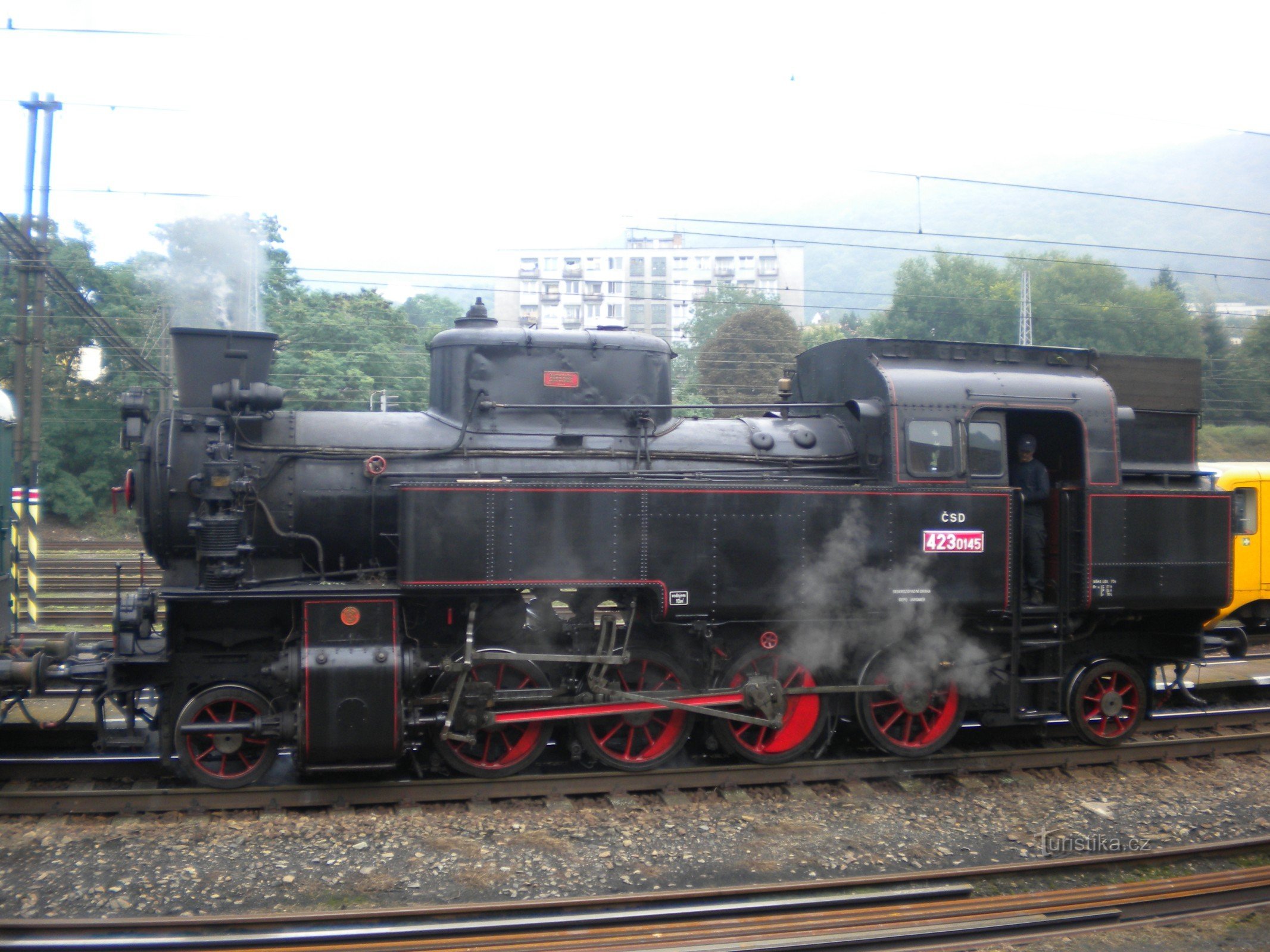 Stor tjur vid Střekov station.