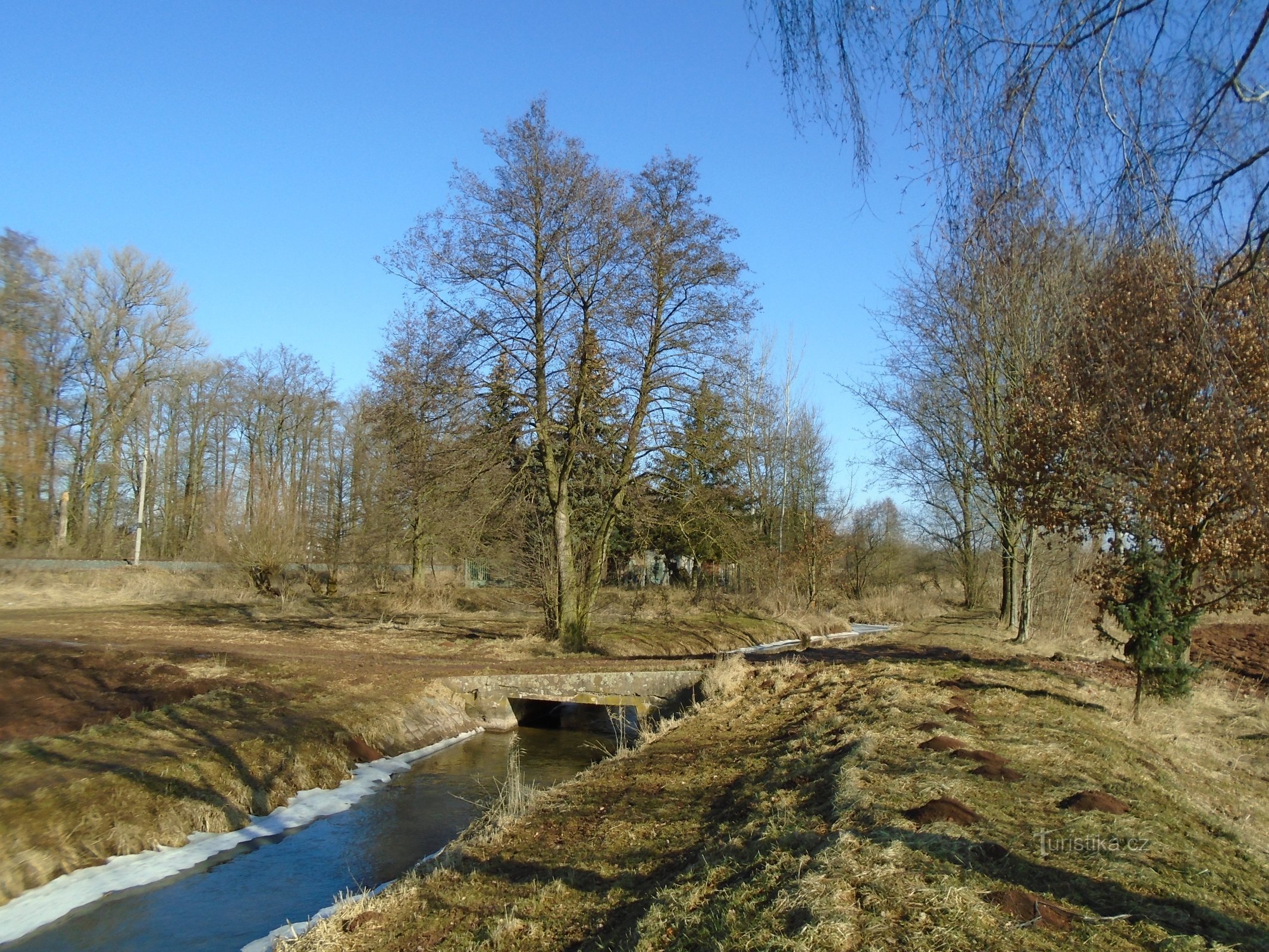 Grande escursione sull'Elba (Předměřice nad Labem, 9.3.2018 marzo XNUMX)