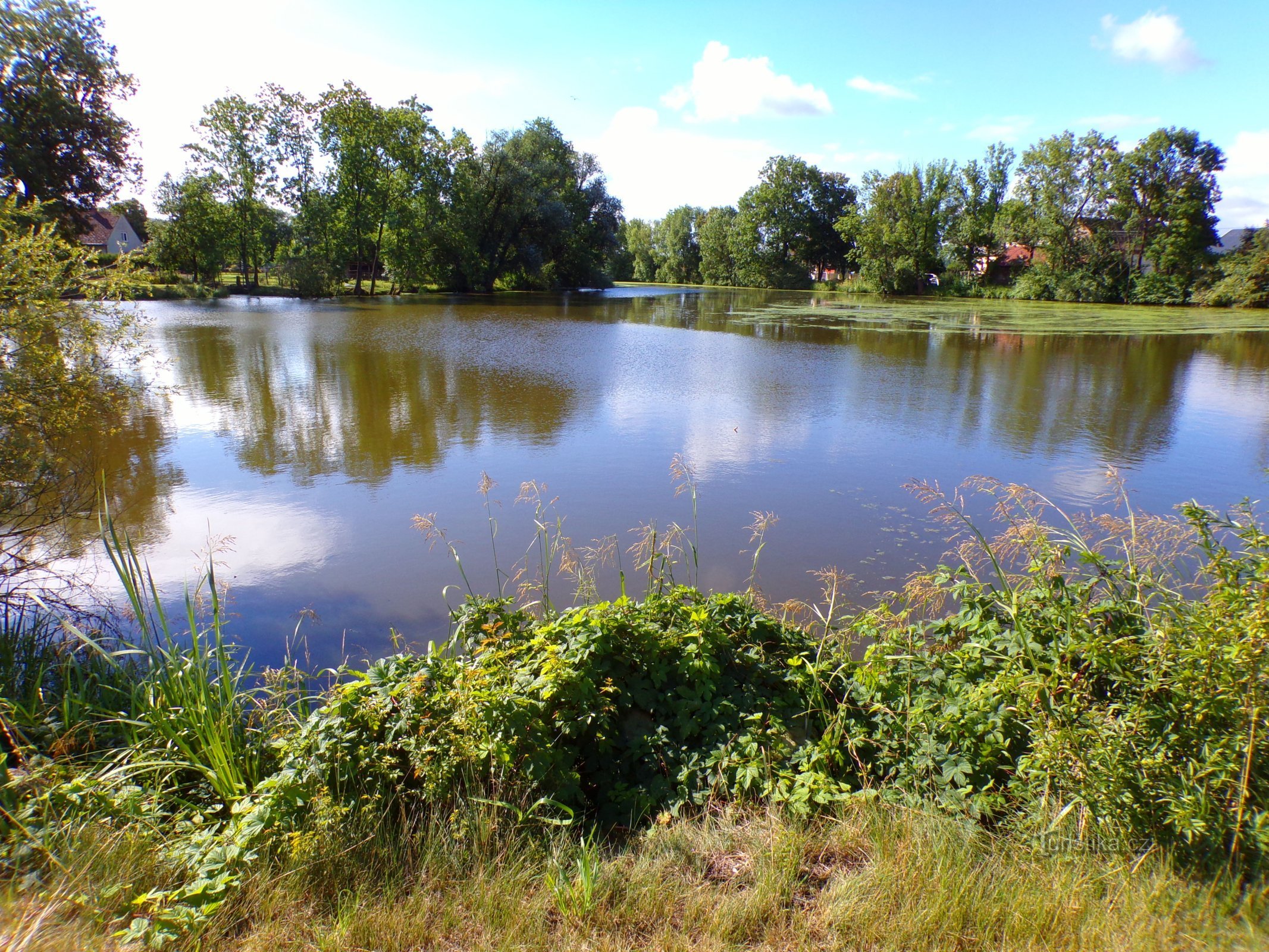 Grand gonfleur (Bolehošť, 10.7.2022)