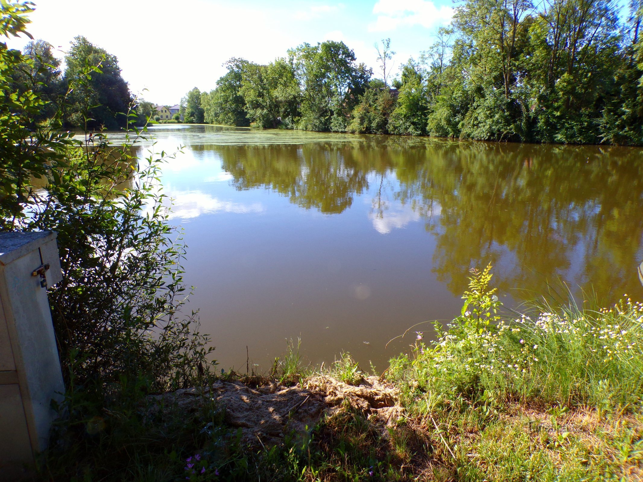 Grand gonfleur (Bolehošť, 10.7.2022)