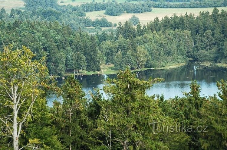 Butuc mare: Fotografiat din Michova vrch