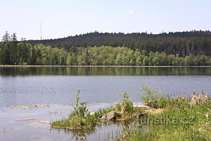 Large stony pond
