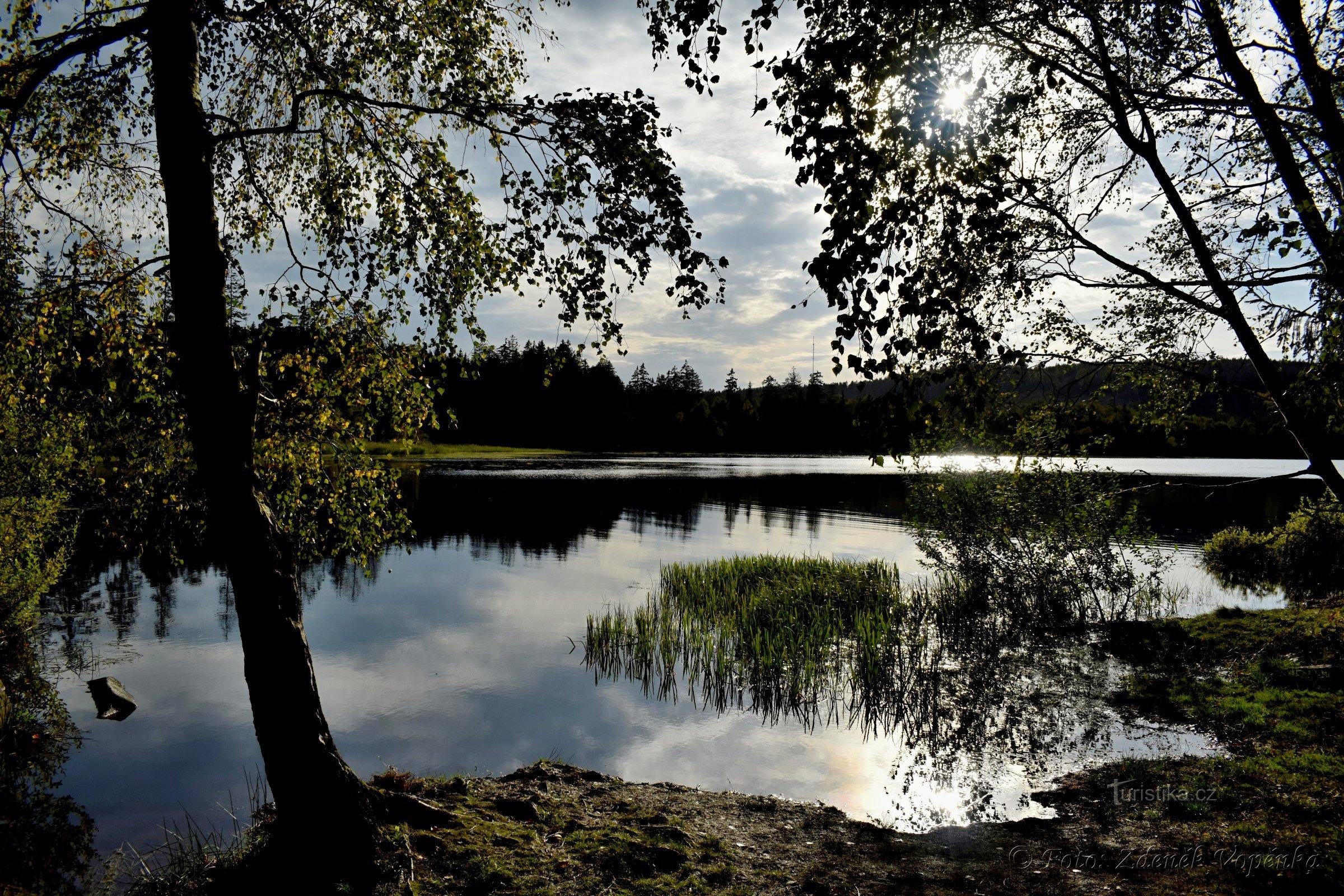 Grande lago de toco perto de Telč.