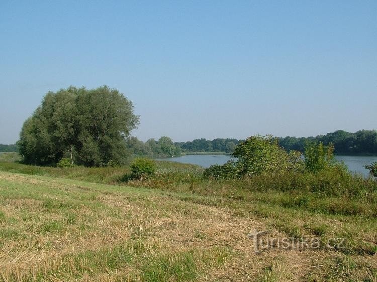 Velký Pavlovický rybník