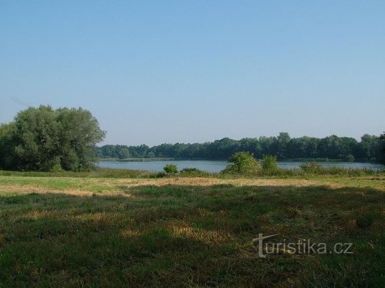 Veel Pavlovick-rybník