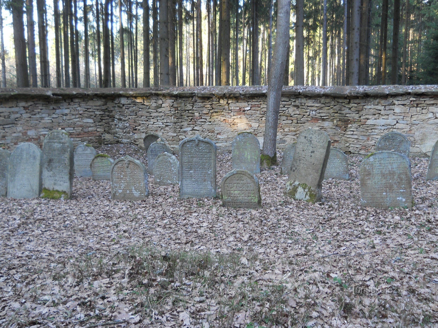 Velký Pěčín - Cementerio judío