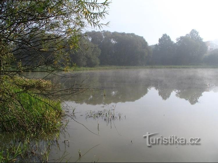 Grande lago de campo