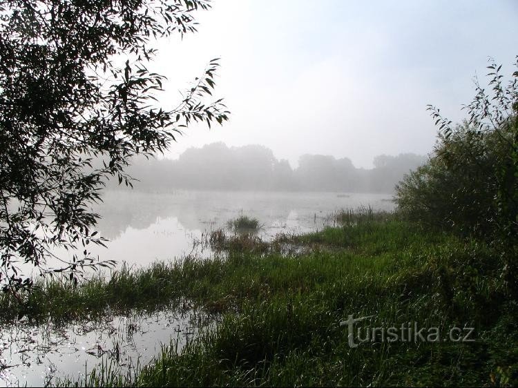 Grande lago de campo