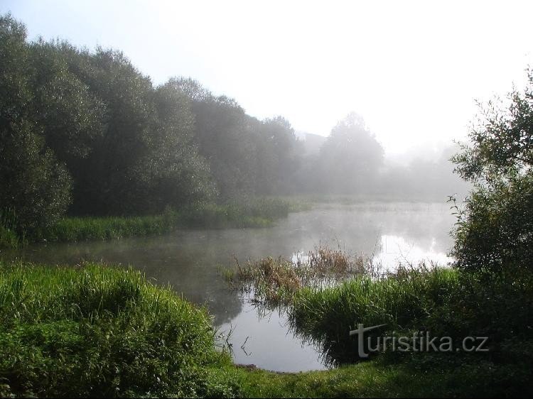 Grande lago de campo