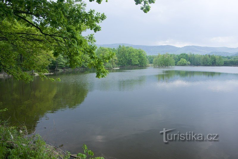 Великий ставок