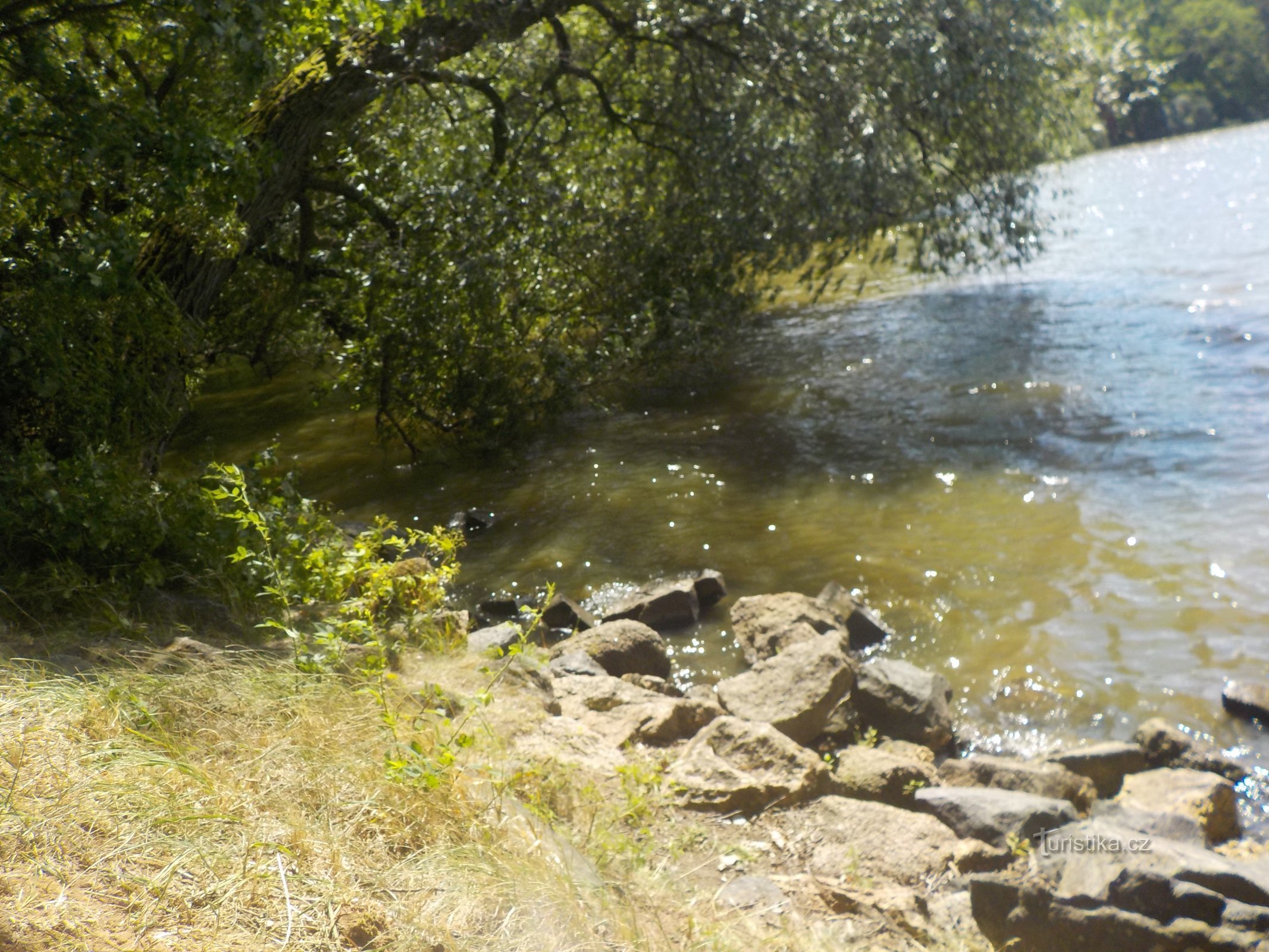 The large Jesenice pond