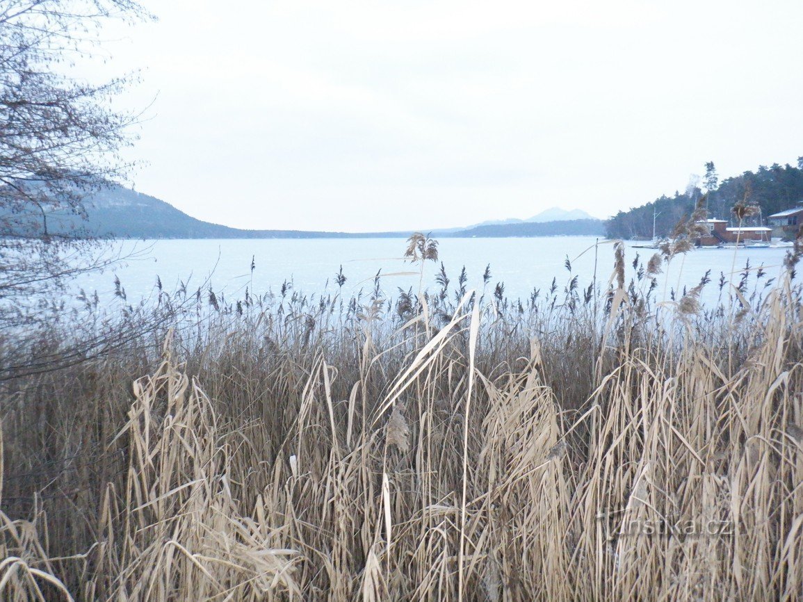 A large pond that we call a lake (Mácháč)