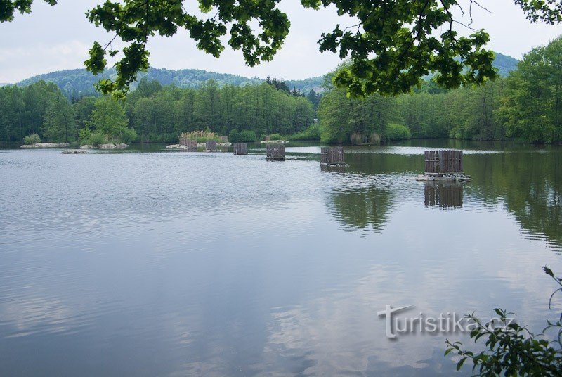 Ein großer Teich in der Nähe von Černá Vody