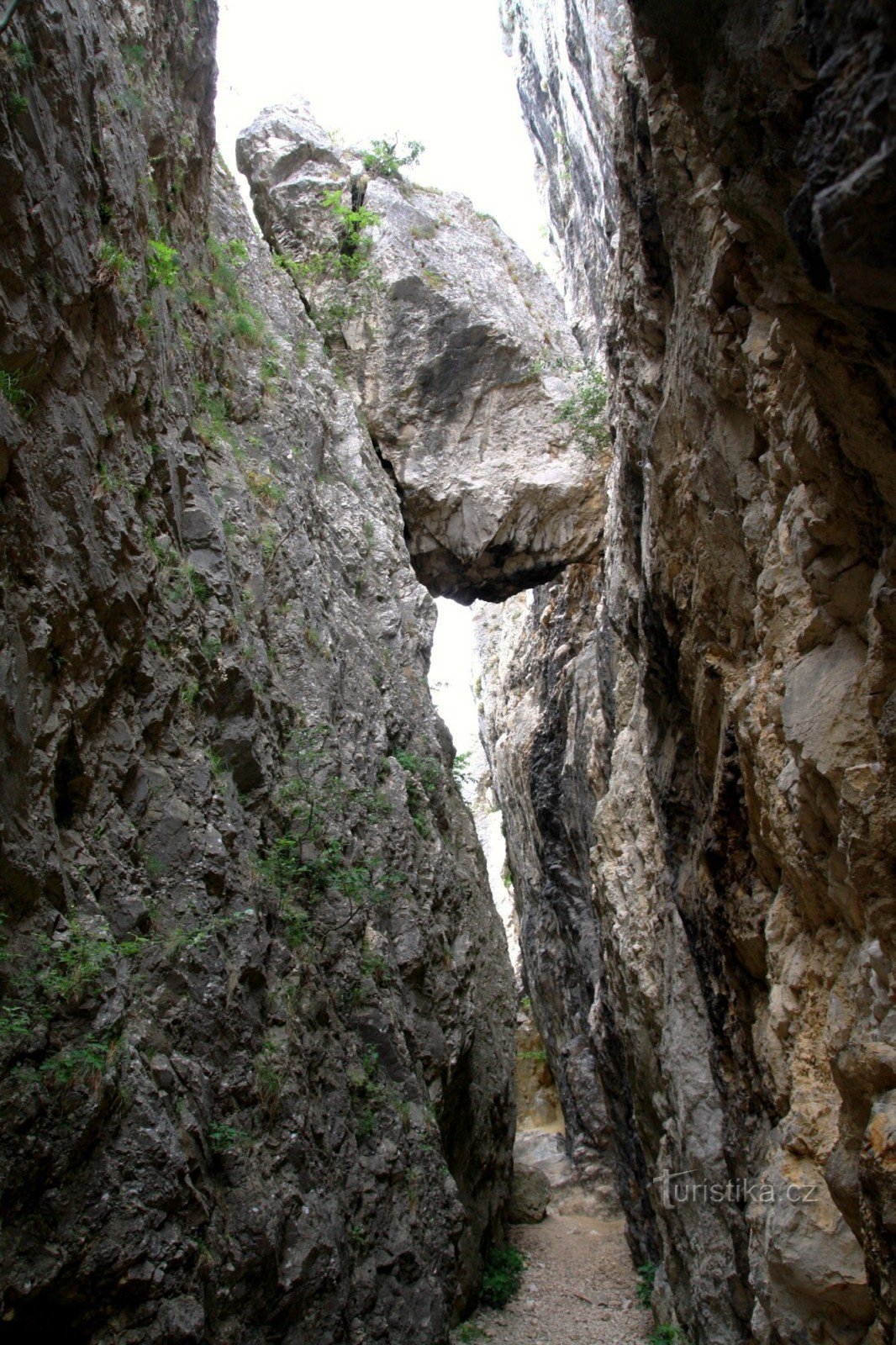 A large plug in the cleft from the west