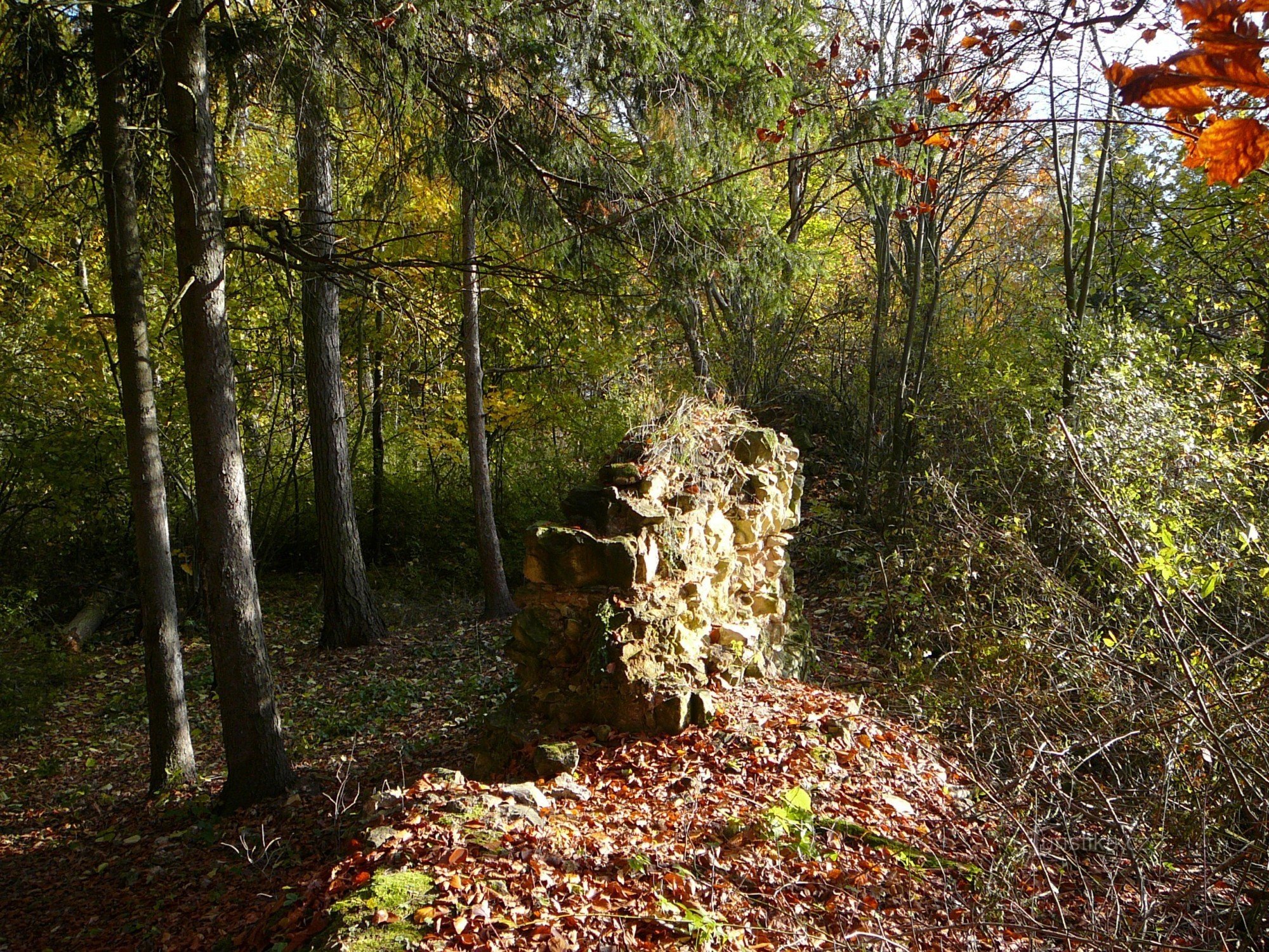 Molto modesti resti del castello