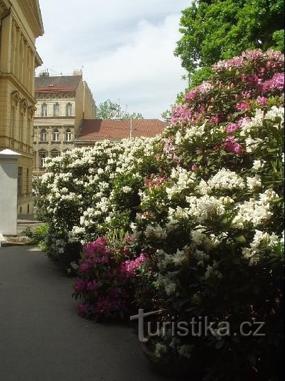 ekspozycja na zewnątrz