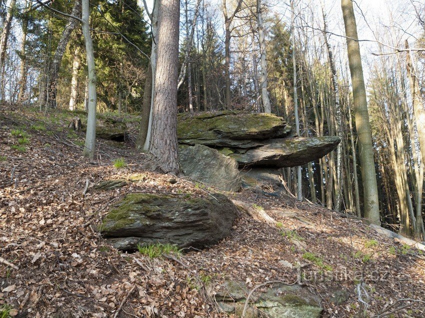 Quercia di Verebly