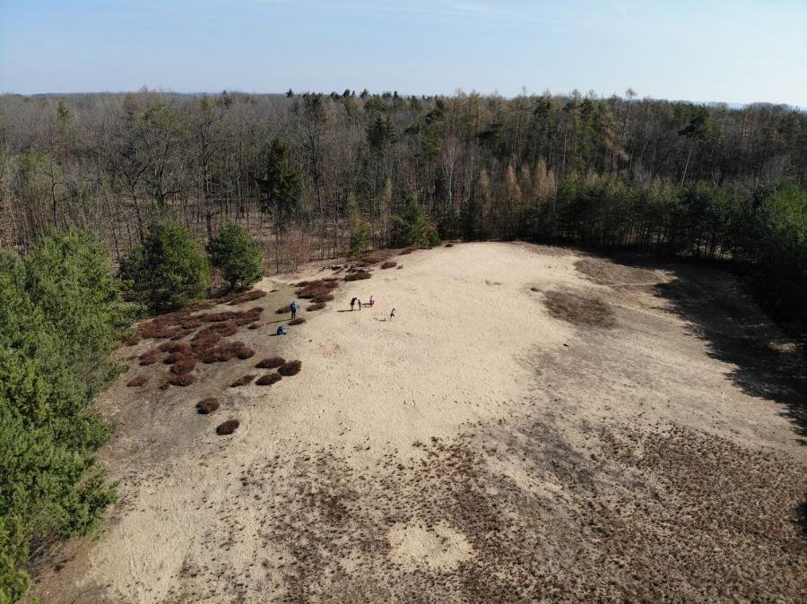 Vesecký kopec - písečný přesyp