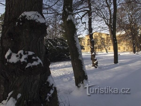 Veselí nad Morawą