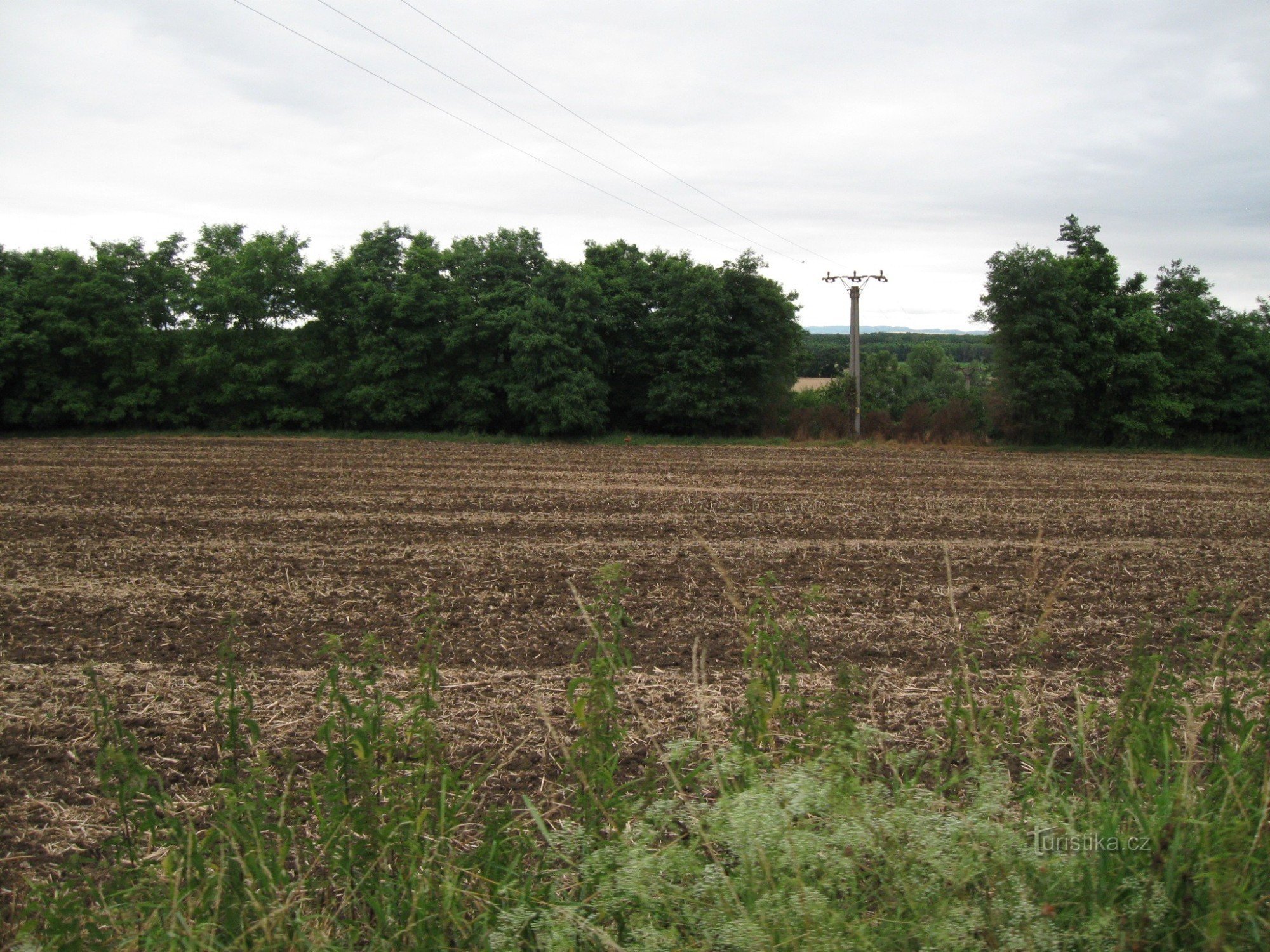 Veselí nad Moravou - Rohatec Kolonie - Rudník - Bzenec Privoz