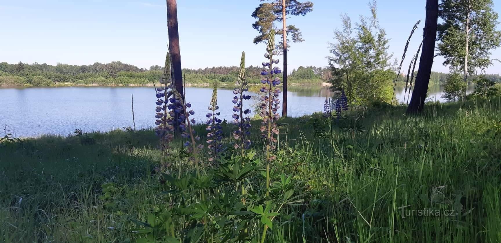 Весельські пісковні