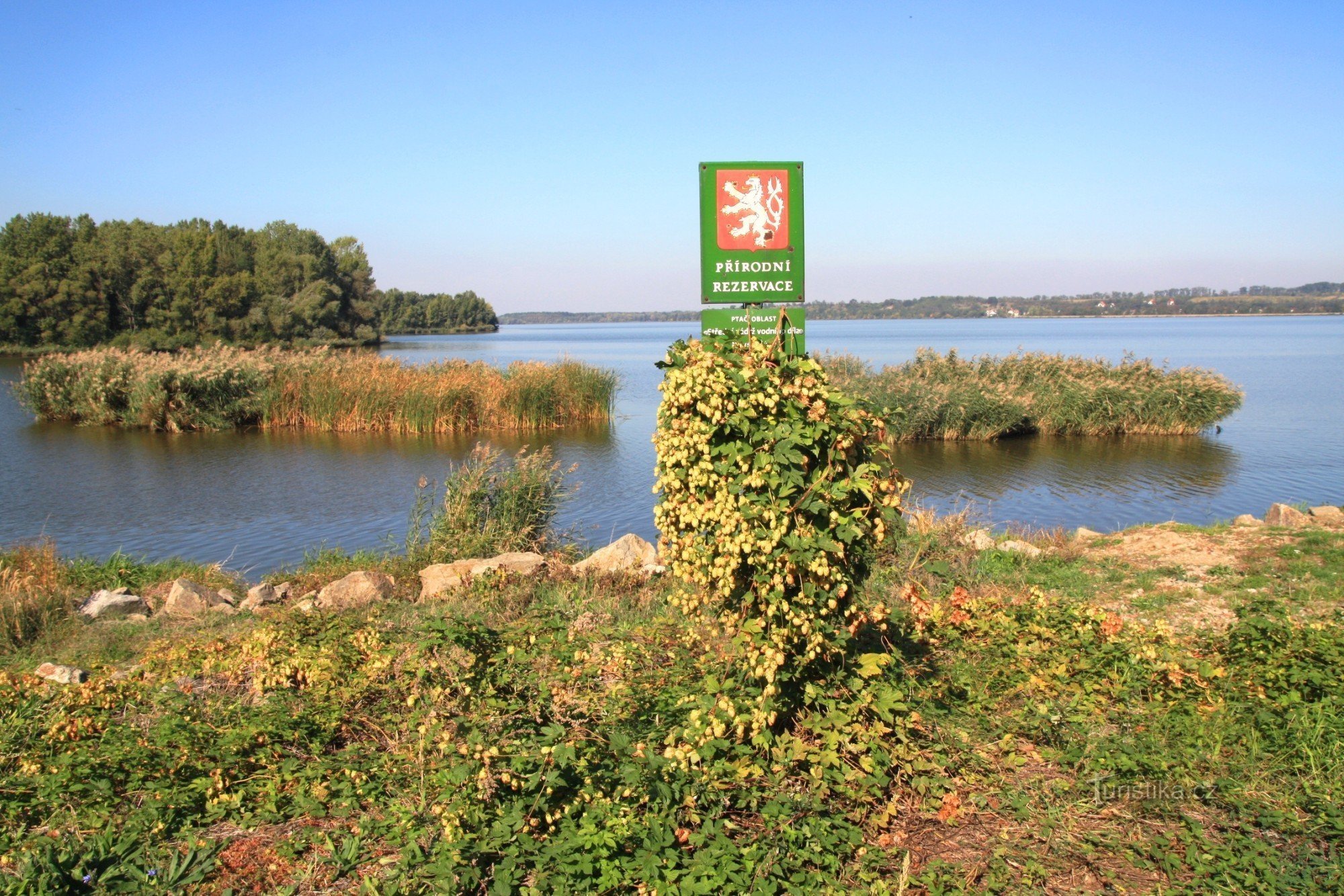 Věstonická reservoir - nature reserve