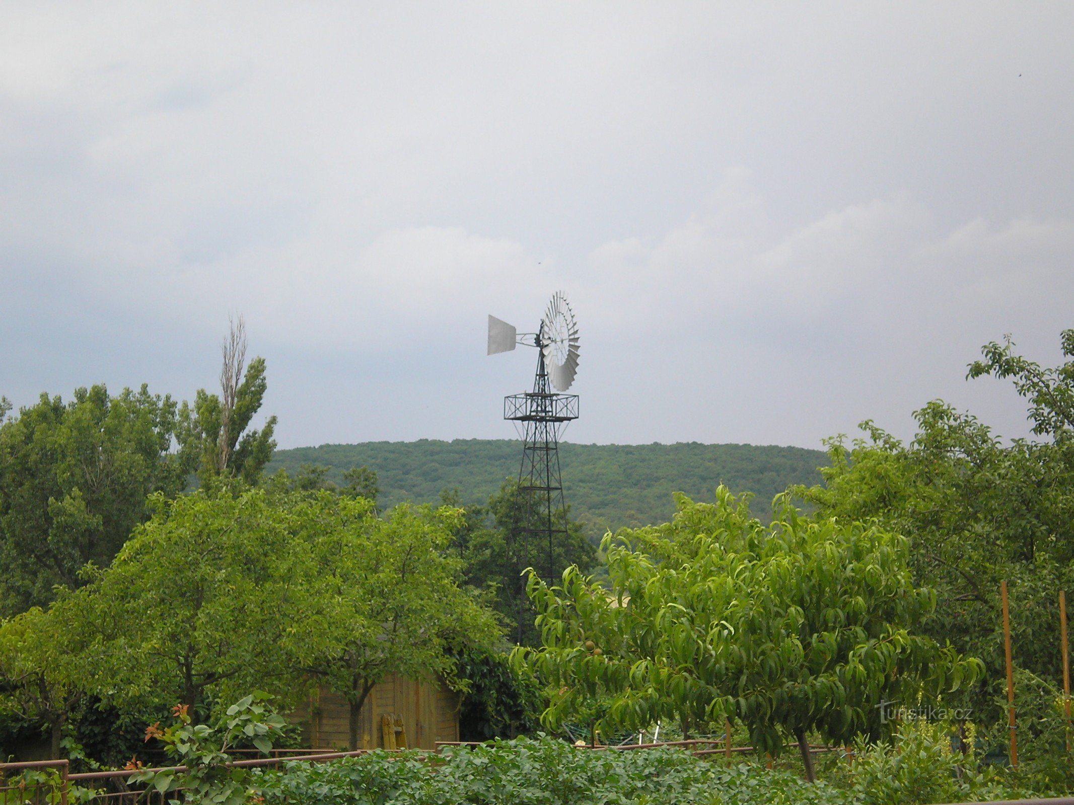 Windmill