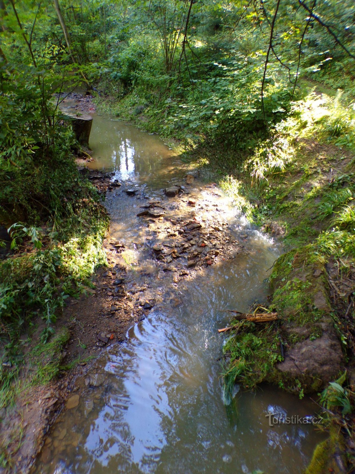 Moulin à vent (Vestec, 29.8.2022/XNUMX/XNUMX)