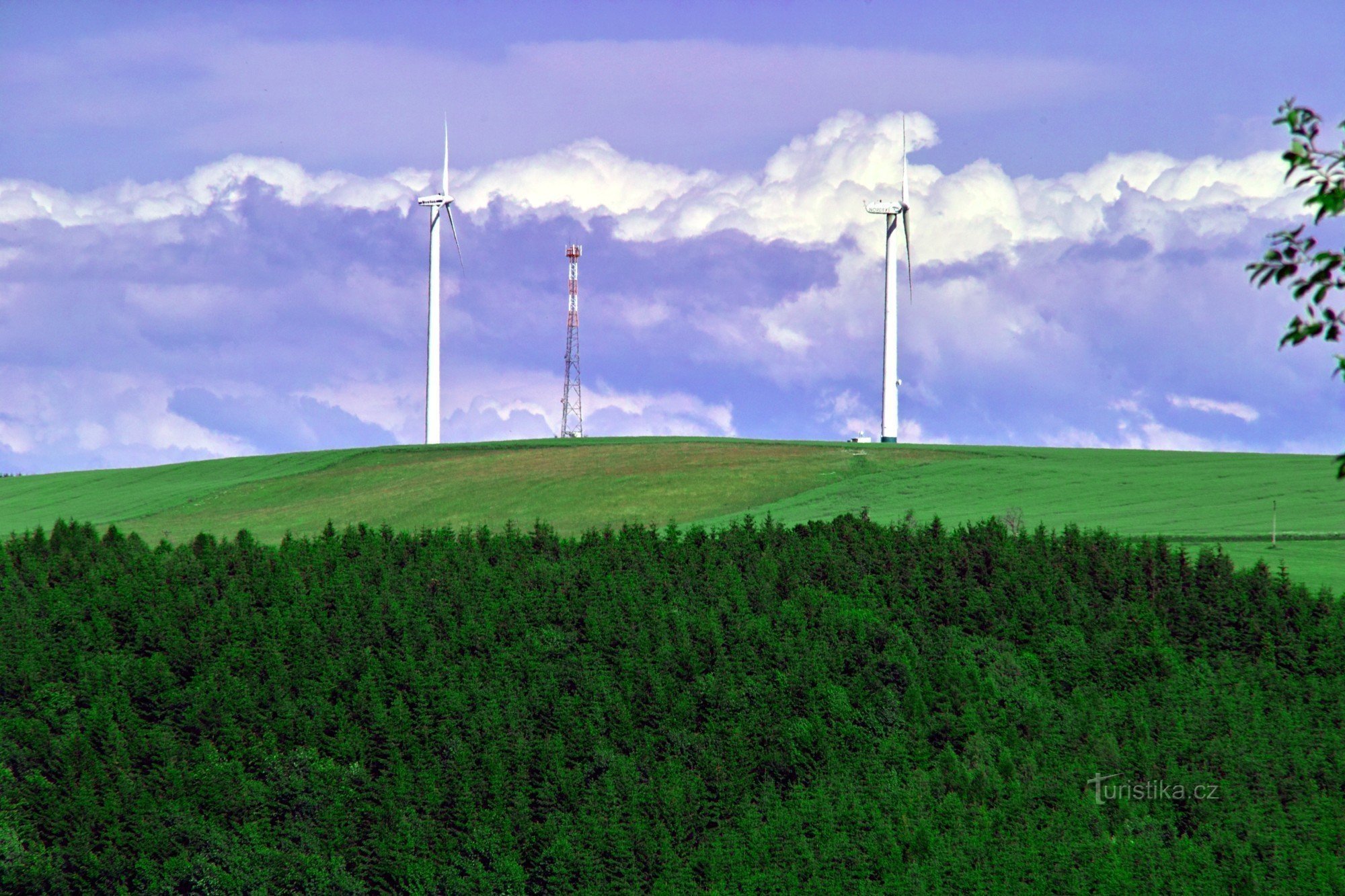 Molinos de viento