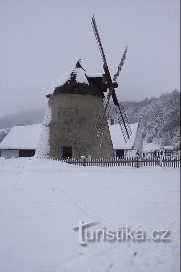 Wiatrak koło Kuželova: styczeń 2006