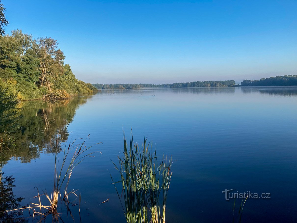 Większy Blatec