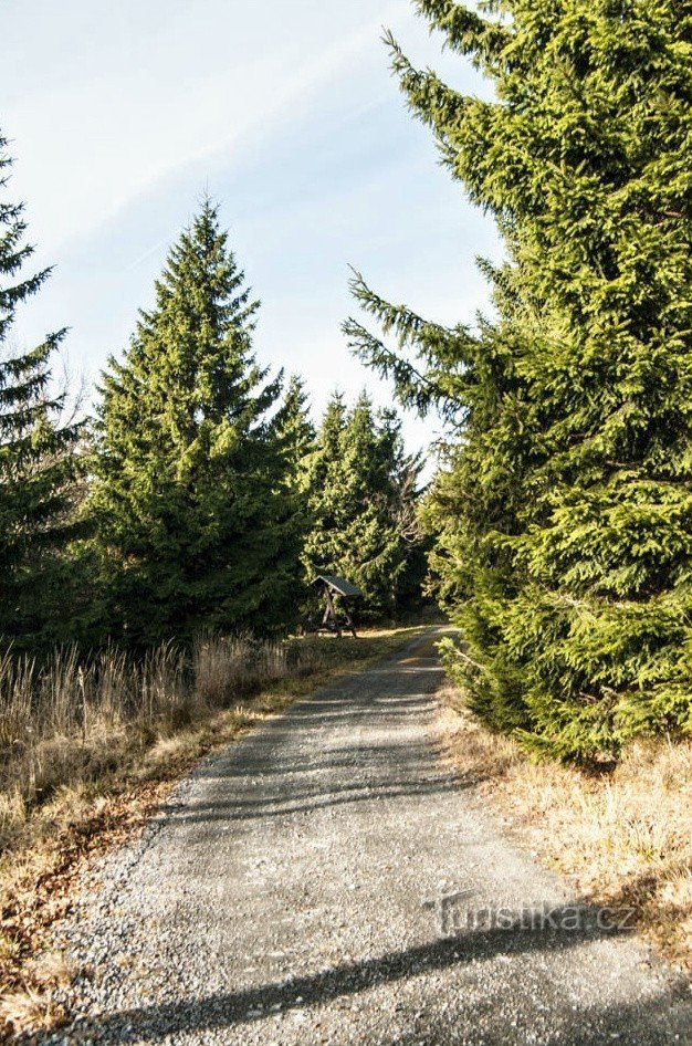 De fleste forbipasserende kender kun shelteret