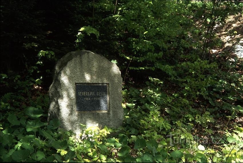 Der Weg des Eichhörnchens vom Waldviertel