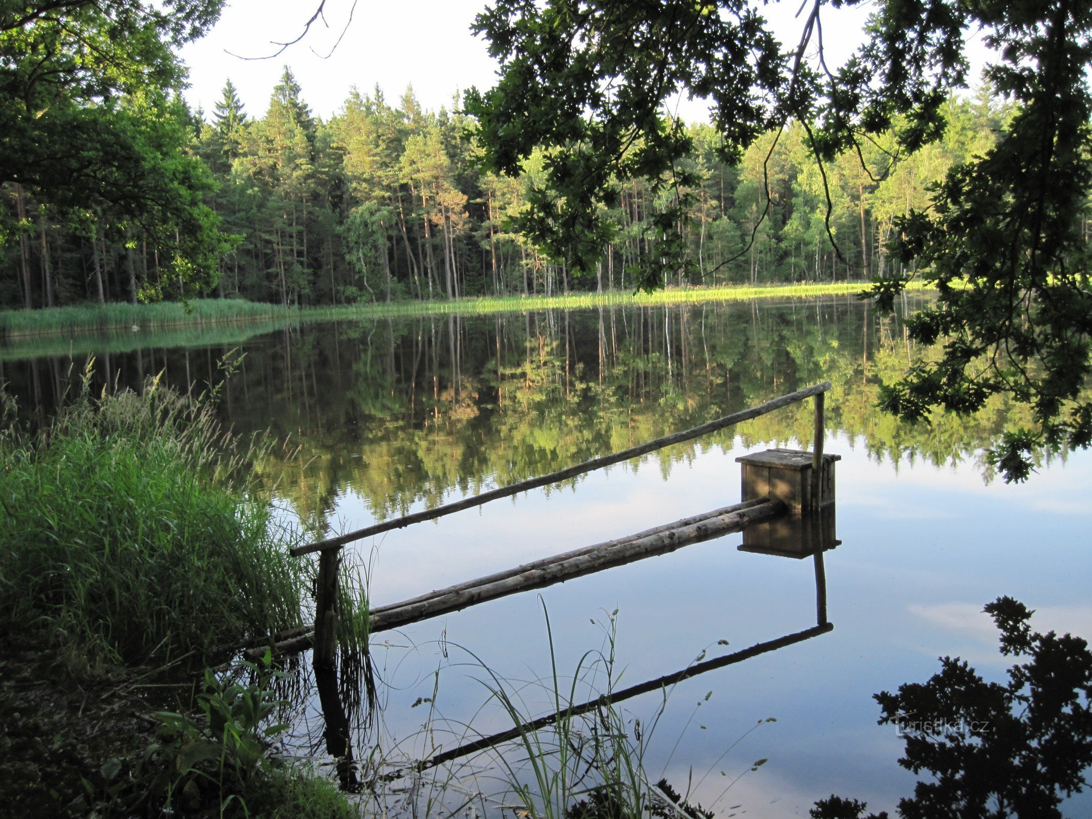 Veverský rybník nær Nové Hradů