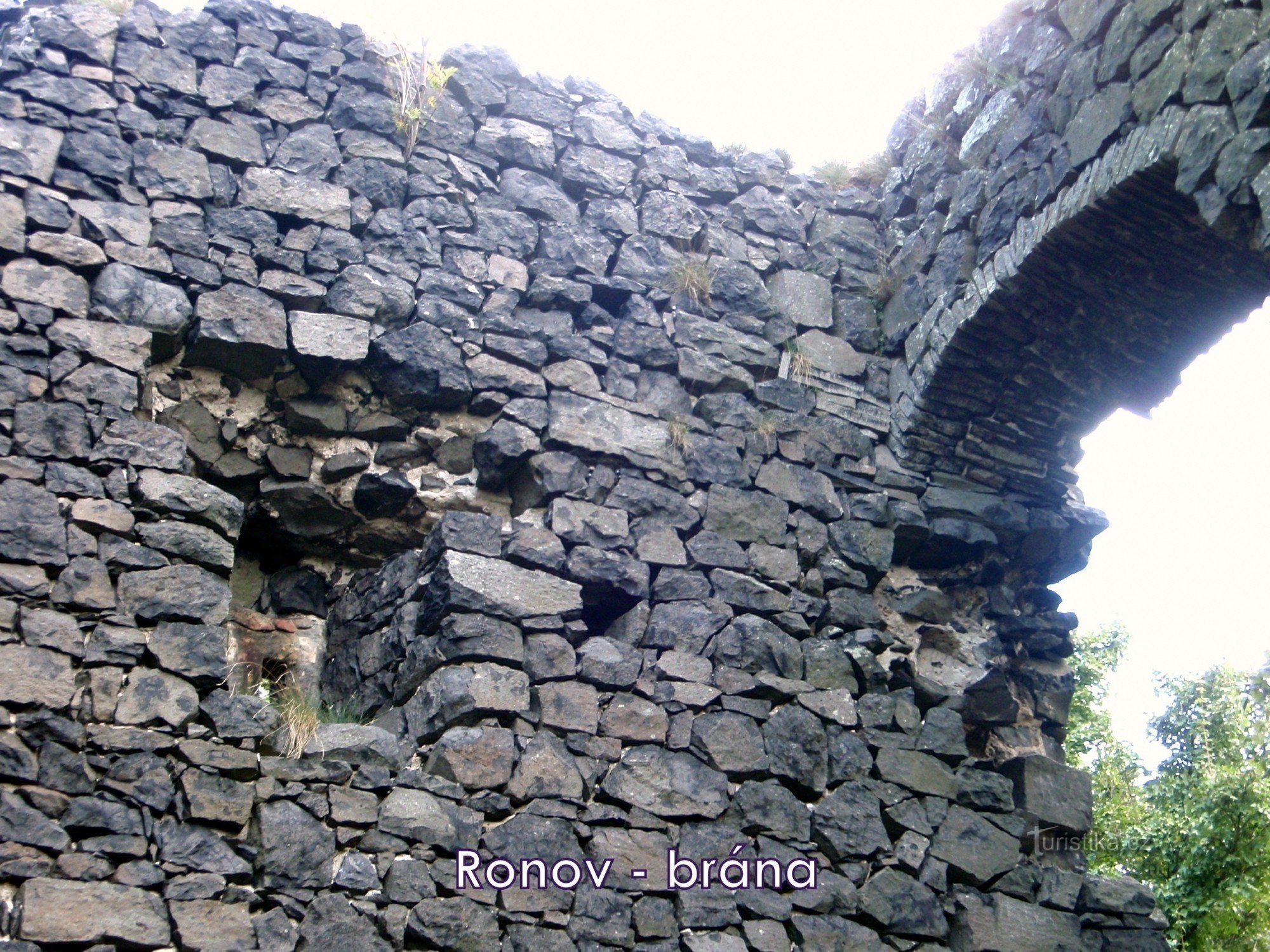 Tower from the courtyard