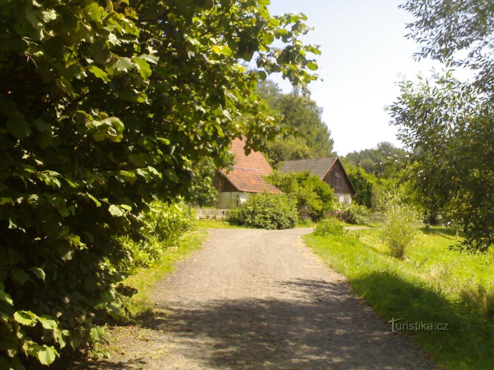 Věžické valley