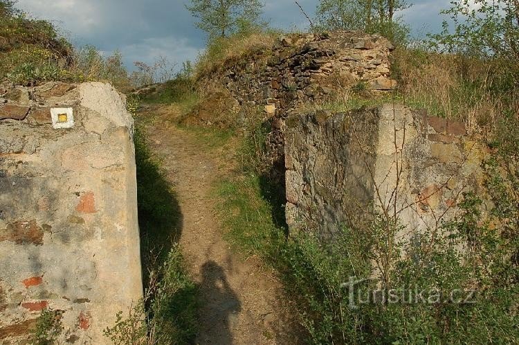 Toren: de oorspronkelijke ingang van het kasteel