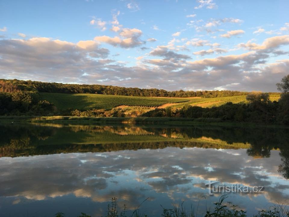 Vican familiewijnmakerij Mikulov