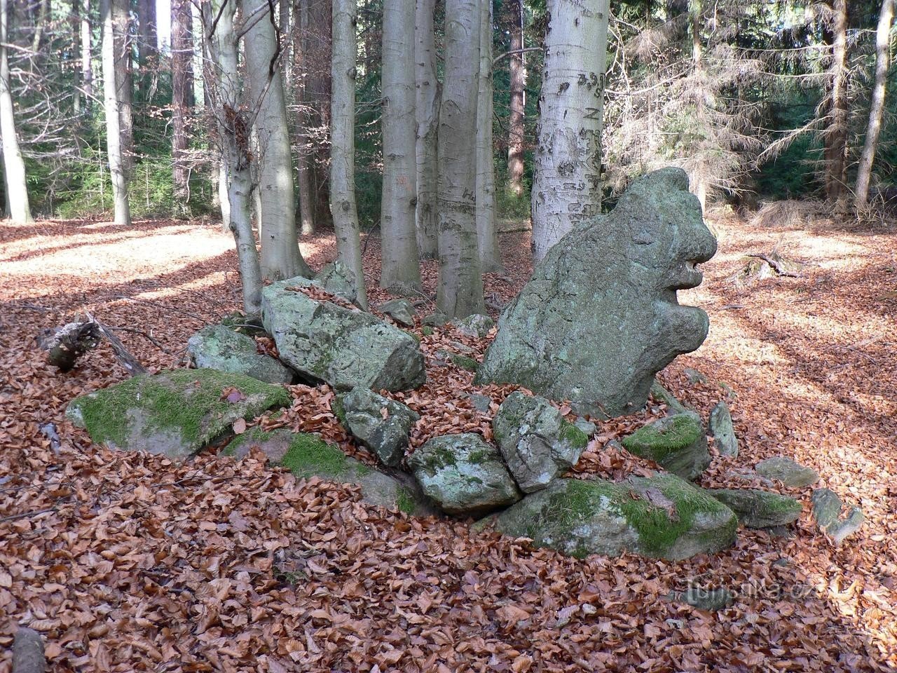 Vidhošť, ursinho de pelúcia do outro lado